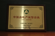 B1、中國(guó)房地產(chǎn)誠(chéng)信企業(yè)2005—2006年